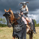 Illustration for article titled Awesome iSkyrim /iCosplay Even Includes Horse Armor